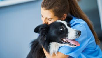 A female veterinarian hugging a dog